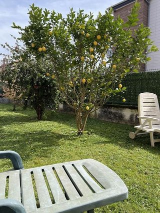 Chalet en venta en Lapice - Larreaundi - Olaberria - Meaka en Irun