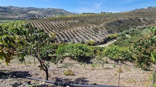 Cortijo en venta en Zona Hispanidad-Vivar Téllez en Vélez-Málaga