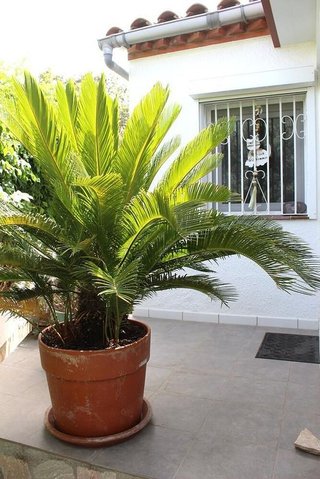 Chalet en venta en Empuriabrava en Castelló d´Empúries