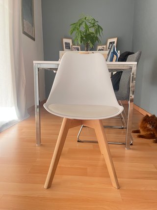 Silla comedor polipropileno y madera haya