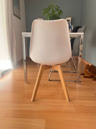 Silla comedor polipropileno y madera haya