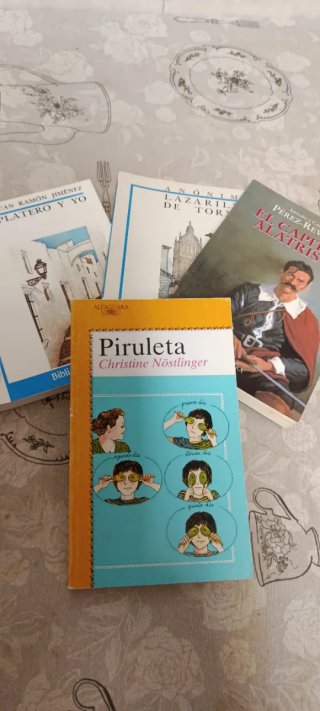 Lote libros juveniles (4)