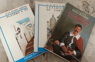 Lote libros juveniles (4)
