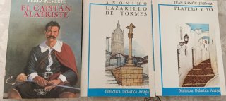 Lote libros juveniles (4)