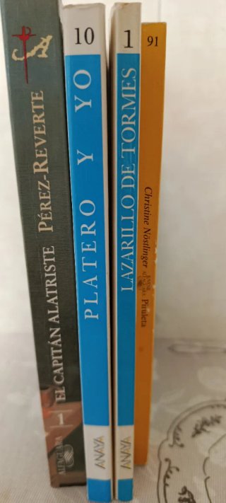 Lote libros juveniles (4)