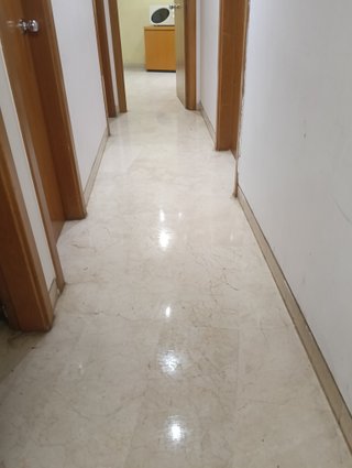 Ofrezco mis Servicios.