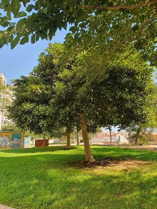 Piso en venta en Nueva Andalucía en Almería