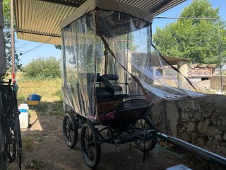 Palio con techo para maratón