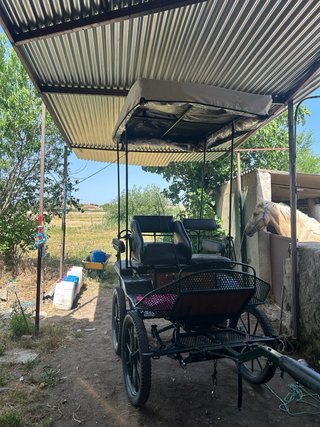 Palio con techo para maratón