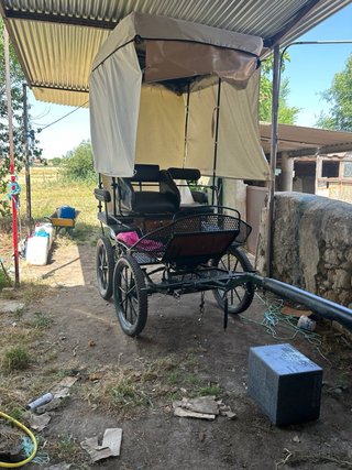 Palio con techo para maratón