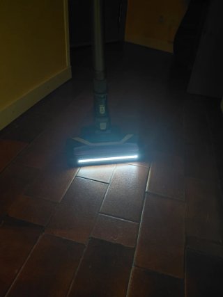 Aspirador Rowenta X-Force Flex 8.60 Allergy