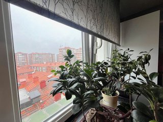 Piso en venta en Erandio