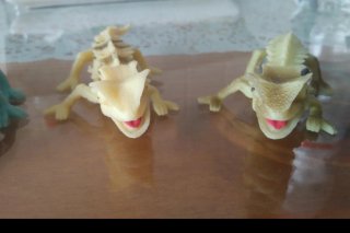 4 Lagartos de Juguete