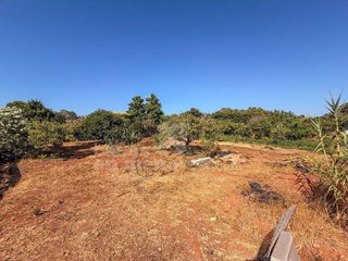 Chalet en venta en Ciutadella en Ciutadella de Menorca