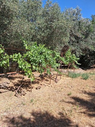 Chalet en venta en Sentmenat