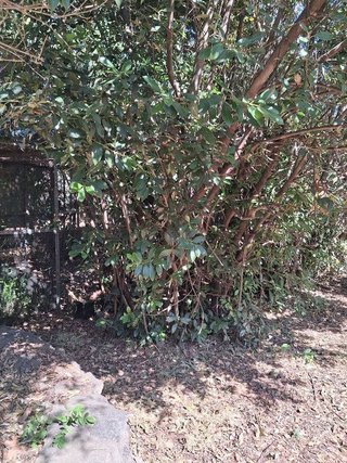 Chalet en venta en Sentmenat
