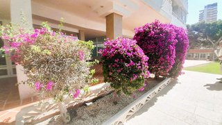 Piso en venta en Playa de Poniente en Benidorm