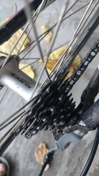 Bicicleta Mérida Scultura 900 Lite