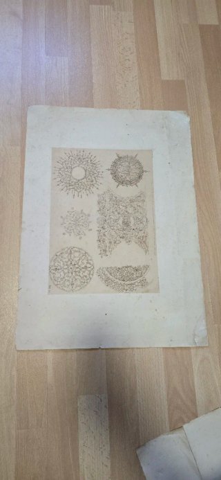 Gravura de ornamentos antigos