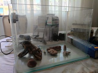 Acuario con accesorios
