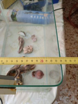 Acuario con accesorios
