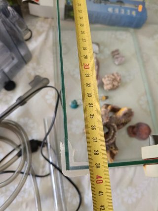 Acuario con accesorios
