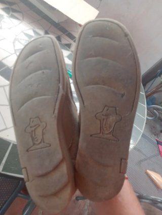 Zapatos Panama Jack Beige/Marrón