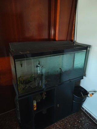 Pecera 200L con mueble negro
