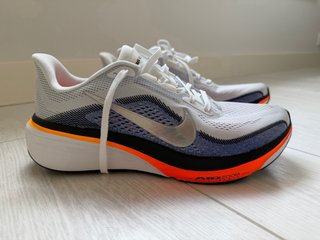 Zapatillas Nike Air Zoom Pegasus 42 Talla 42