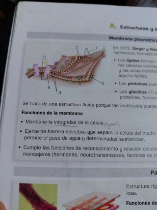 Biología, Geología y Ciencias Ambientales 1o Ba...