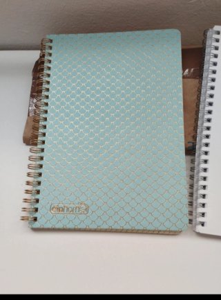 Lote 2 Cuadernos Espiral Diseño Escamas