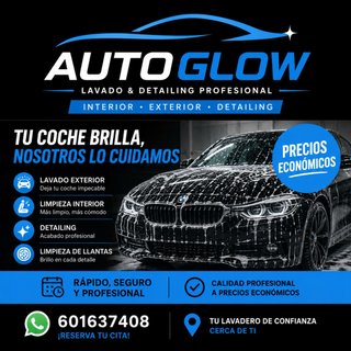 Servicio Lavado Profesional