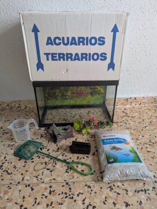 Lote Acuario Completo