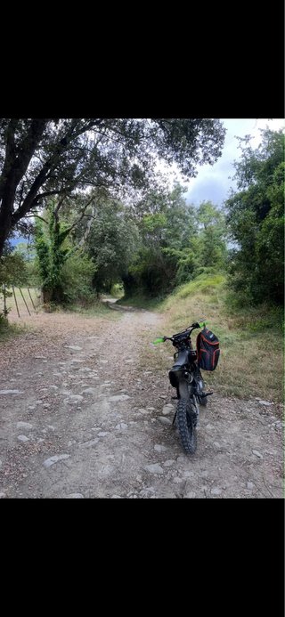 Pitbike 125cc XL Negra y Verde