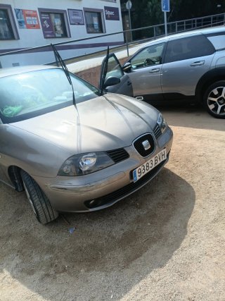 SEAT Ibiza 2002