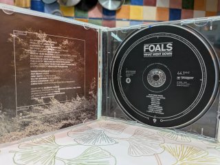 Foale - What went down