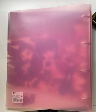 Carpeta anillas Bratz