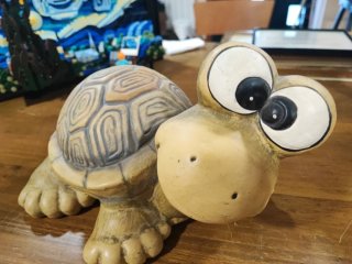 Hucha Tortuga Artesanía