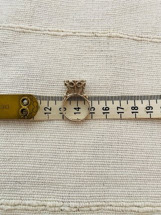 Anillo Plata Capricornio