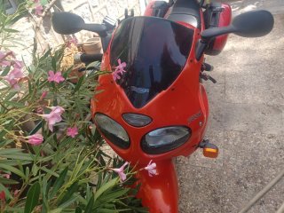 Triumph Sprint RS Roja