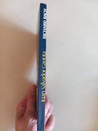 Juan Salvador Gaviota un relato