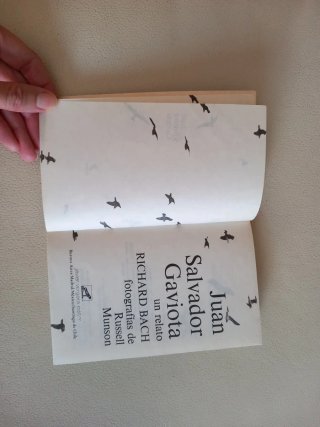 Juan Salvador Gaviota un relato