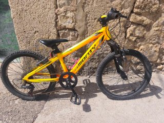 Bicicleta Monty Niña/o