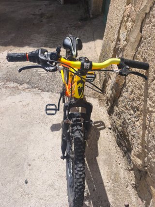Bicicleta Monty Niña/o