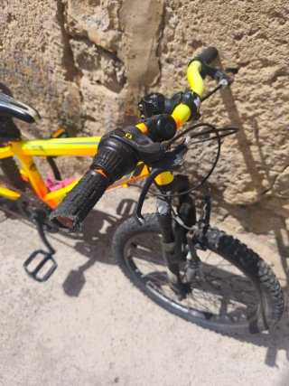 Bicicleta Monty Niña/o