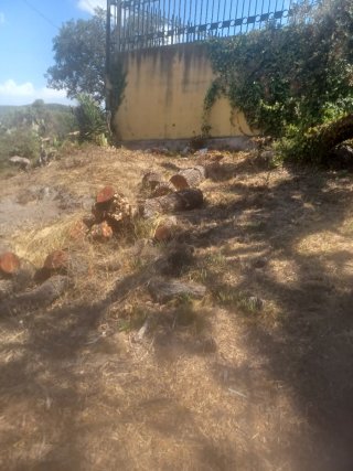 Leña para chimenea o barbacoa
