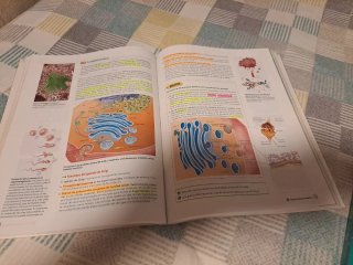 Biología 2 bachillerato