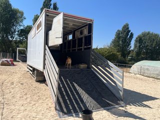 camion 12Tm 6 caballos + carruaje