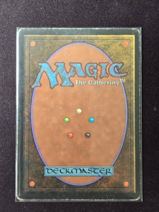 Scrubland - Magic The Gathering Carta