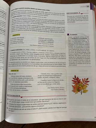 Lengua castellana y Literatura 2 Bachillerato